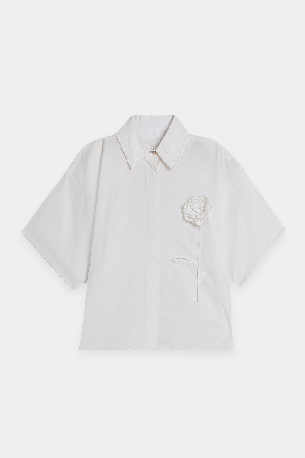 TOP (E0008/120/001)