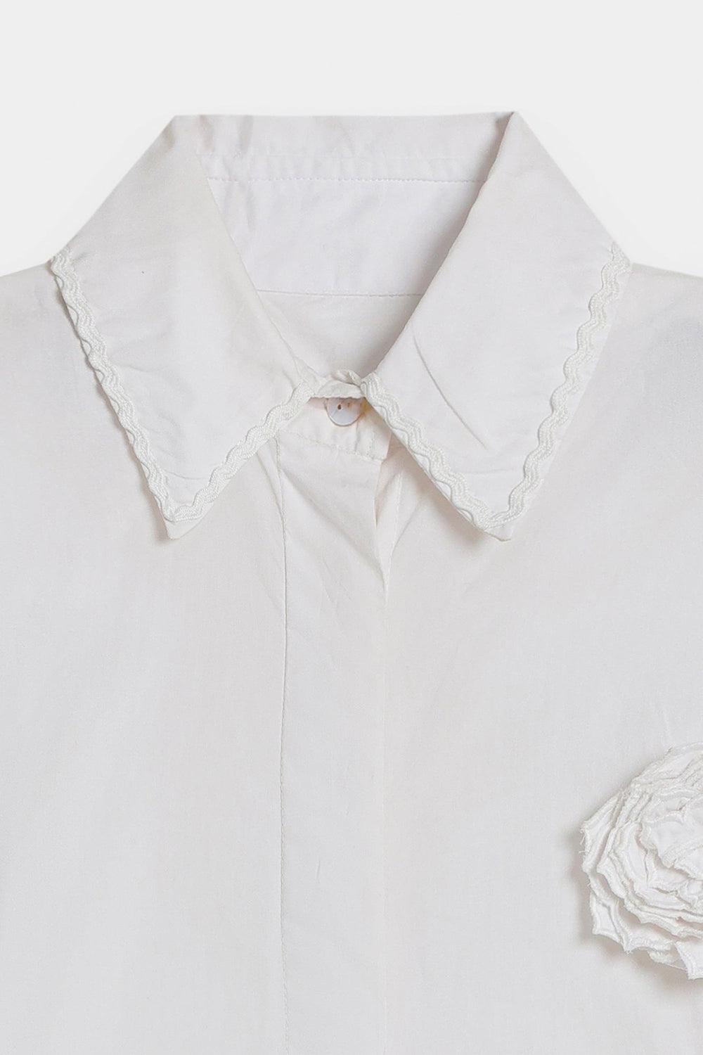 TOP (E0008/120/001)