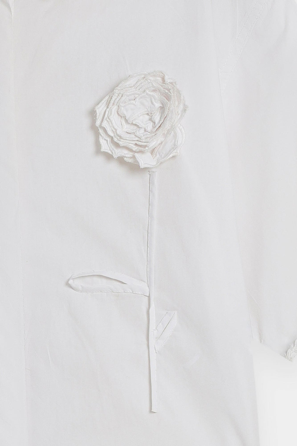 TOP (E0008/120/001)