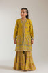 EMBROIDERED SUIT (E0210/415/103)