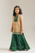 EMBROIDERED SUIT (E0227/415/0070)