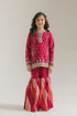 EMBROIDERED SUIT (E0312/415/410 E0312/315/410)
