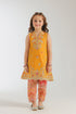 EMBROIDERED SUIT (E0629/404/220)