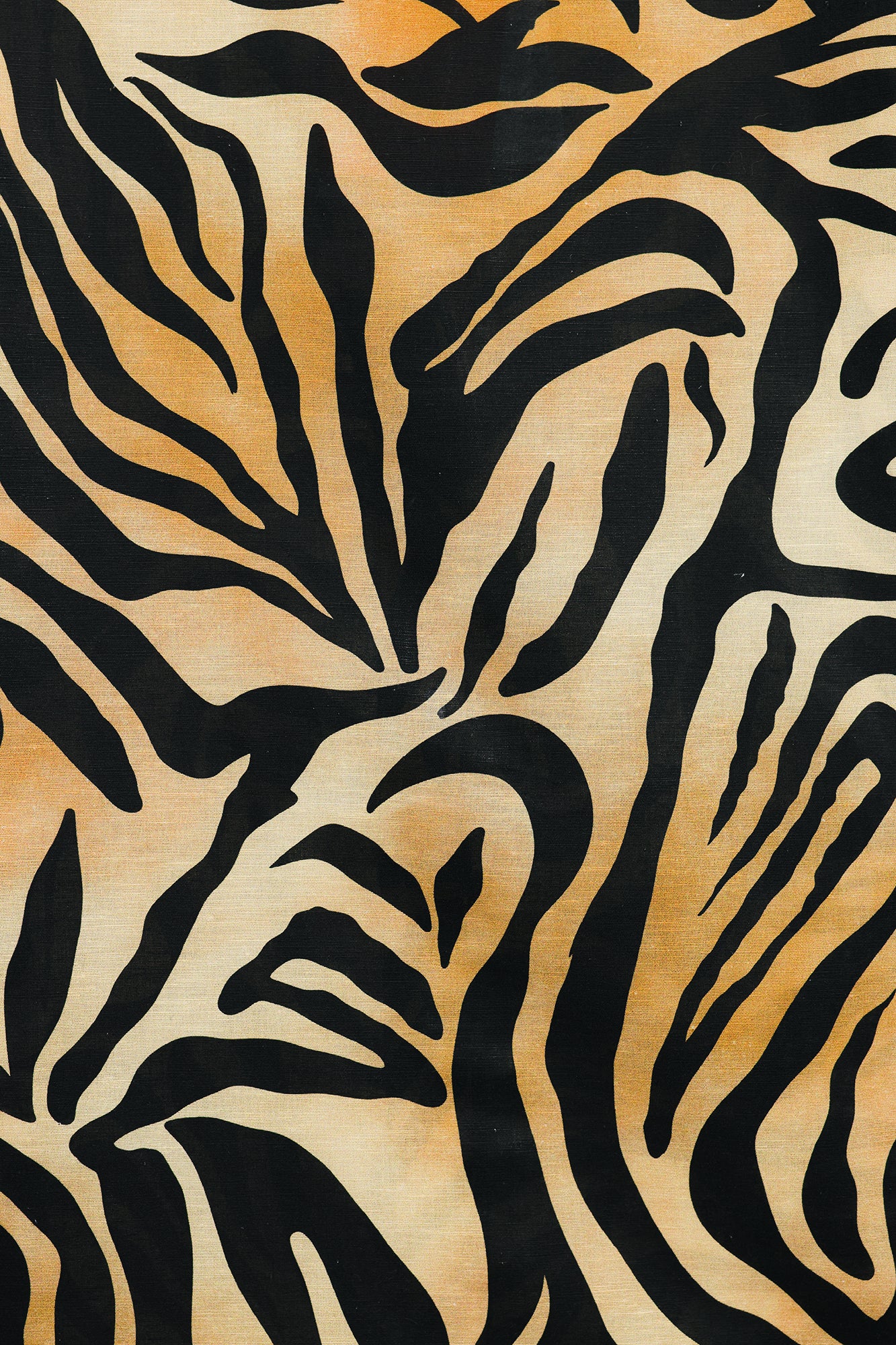 SOLID SUIT (E0666/116/114)