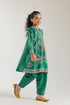 EMBROIDERED SUIT (E0678/404/705)