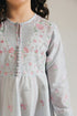 EMBROIDERED PISHWAS (E0697/404/617)