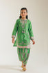 EMBROIDERED SUIT (E404/709/0720)