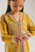 EMBROIDERED SUIT (E0906/404/104 E0906/304/104)