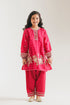 EMBROIDERED SUIT (E0938/404/406 E0938/304/406)