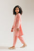 EMBROIDERED SUIT (E0964/404/314 E0964/304/314)