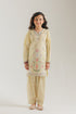 EMBROIDERED SUIT (E0972/404/227)