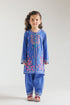 EMBROIDERED SUIT (E1027/402/625)