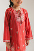 EMBROIDERED SUIT (E1028/402/309)