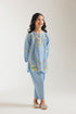 EMBROIDERED SUIT (E402/631/1036)
