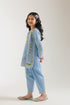 EMBROIDERED SUIT (E402/631/1036)