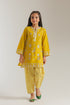EMBROIDERED SUIT (E1057/402/101)