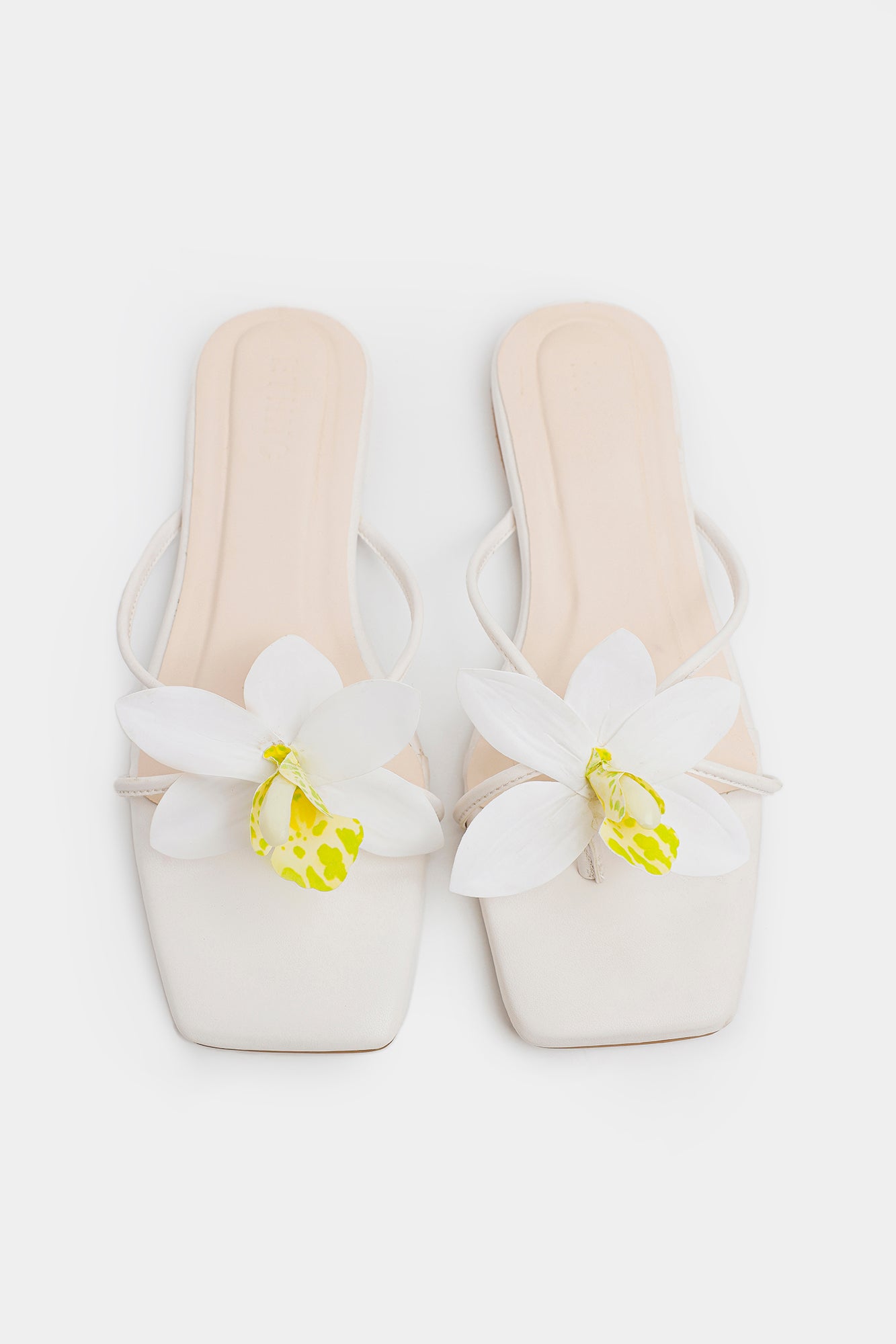 SANDAL (E1098/109/001)