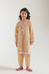EMBROIDERED SUIT (E1212/402/225)
