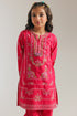 EMBROIDERED SUIT (E1217/402/419)