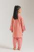 EMBROIDERED SUIT (E1515/402/326 E1515/302/326)