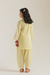 EMBROIDERED SUIT (E1607/402/109 E1607/302/109)
