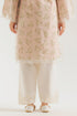 EMBROIDERED SHALWAR (E7670/102/002)